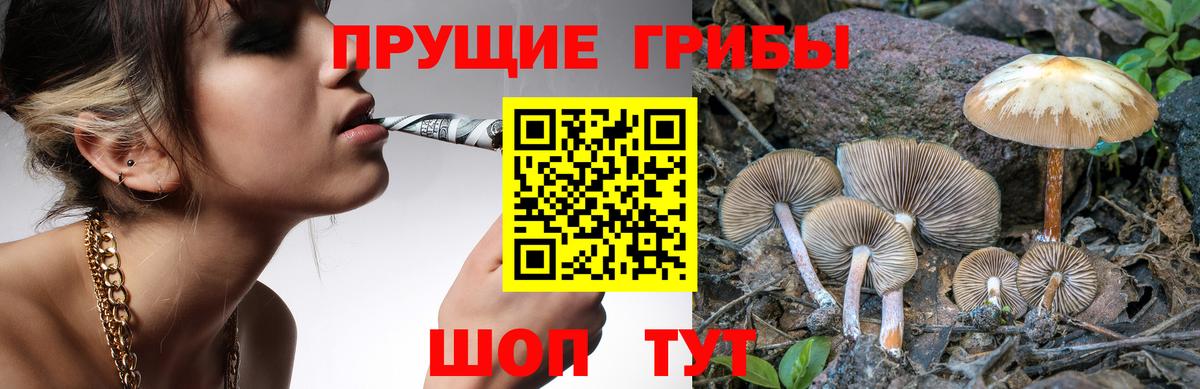 Псилоцибиновые грибы ЛСД Удомля