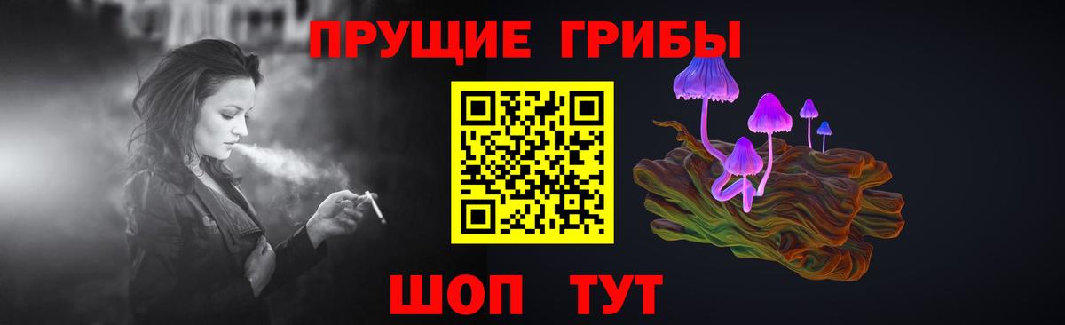 Удомля  Псилоцибиновые грибы Cubensis  Вход с VPN 